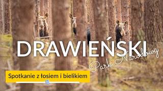 wides.pl WlEEkh1XiVw 