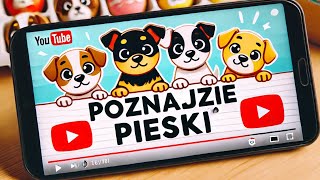 wides.pl WtLJeJWoyDs 