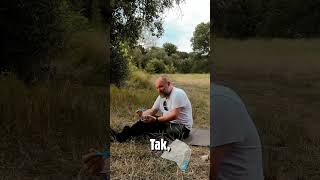 wides.pl X2zLT_RT1jU 