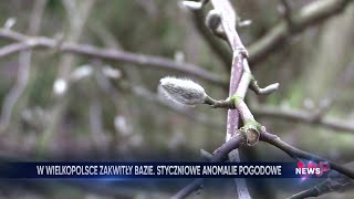 wides.pl X4p62GFWMnE 