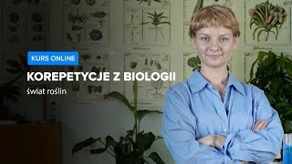 wides.pl XAne34QaDn8 