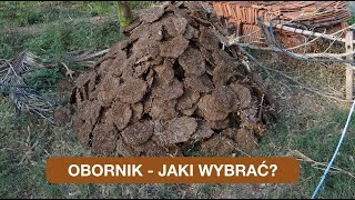 wides.pl XEVozGDNEy4 