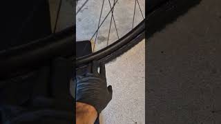 wides.pl XEbt-fxLEeU 