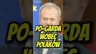 wides.pl XIug2v3kkQY 