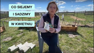 wides.pl XYprzhJoijU 