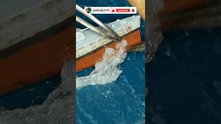 wides.pl XyVi5wATzpY 