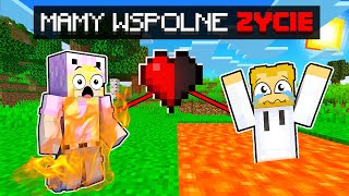 wides.pl Y2O_vrkk6Qc 