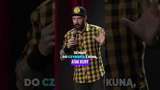 wides.pl YB8j2QStkyo 