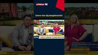 wides.pl YEJi286JpQ8 