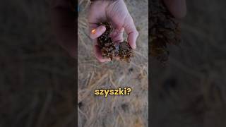 wides.pl YK-5_k-k-5Y 