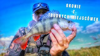 wides.pl YcZgFuIu09w 