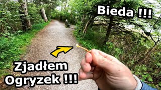 wides.pl YklRQuRQD6I 