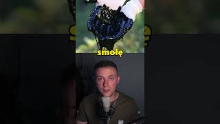 wides.pl Yz5ALOxdkF0 