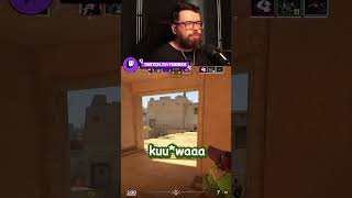 wides.pl ZALeoC5NaXY 