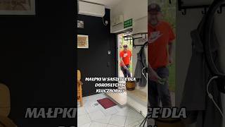 wides.pl ZQaOvOunT_g 