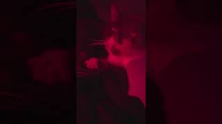 wides.pl ZxyPhxKFU18 