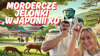 wides.pl _42eRfF2KXI 