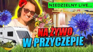 wides.pl _nK_UIlzlts 