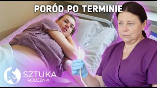 wides.pl _sIgKm6EMeE 