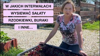 wides.pl a23NXdbzj34 