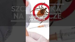 wides.pl a6FZ6a5my5g 