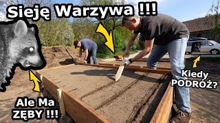 wides.pl aQ3mgzA7uKk 