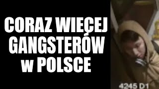 wides.pl aVztP9b1dJE 