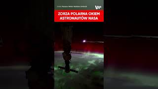 wides.pl aWM6mEqHBF0 