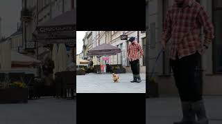 wides.pl aXjcRTTkup4 