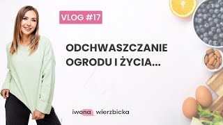 wides.pl afNKcE7NNgI 