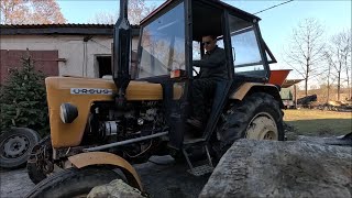wides.pl anl-86_QfYU 