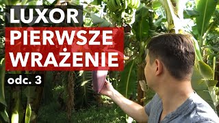 wides.pl aqFZuA6V2ZU 