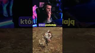 wides.pl at52_-6eQbc 