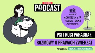 wides.pl atTxsJC-kc8 