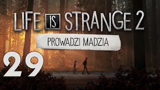 wides.pl b7SMSme0ELs 