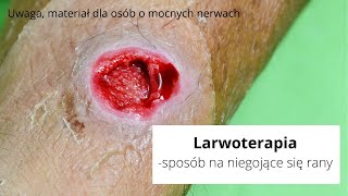 wides.pl bJViESUvLYY 