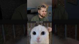 wides.pl bNvhmsbhDmM 
