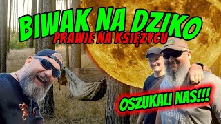 wides.pl bVkTdrm45B0 