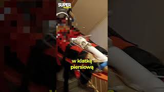 wides.pl bimP7pXHeHI 