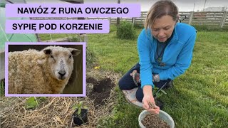 wides.pl btaw3_EP0FE 