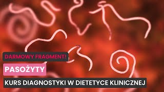 wides.pl c-fkF-F2xmo 