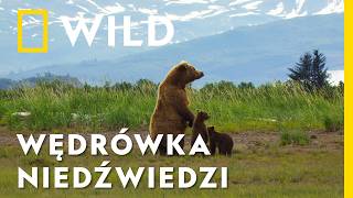 wides.pl c9XNXX5QBnc 