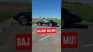 wides.pl cKxX3tQC9RU 