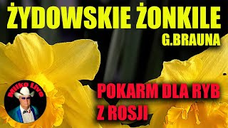 wides.pl cMnH2iQvXIs 