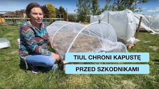 wides.pl cagWetahYDA 
