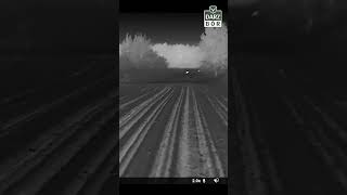 wides.pl cdosXzTYBQw 