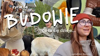 wides.pl cjcQc2RYEB0 