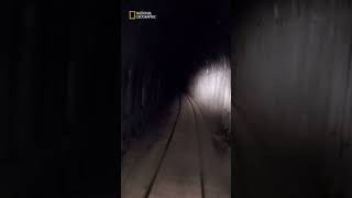 wides.pl cuMUypp2qsg 