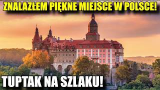 wides.pl d0Cn5OAwECQ 
