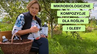 wides.pl dLmmeywpDyk 